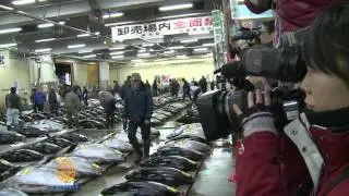 Japan tuna auction prices slump