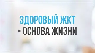 Прямой эфир Здоровый ЖКТ - основа жизни 06.07.2024 Доктор Лисенкова