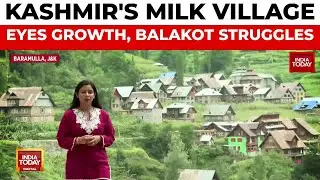 Kashmir's Milk Village Aims for National Recognition, Balakot Villagers Face Shelling | India Today