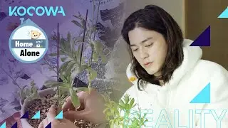 Kim Ji Hoon is repotting his plant [Home Alone Ep 387]