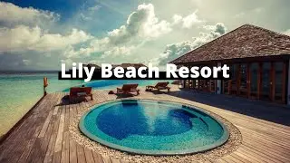 Lily Beach Maldives Resort Review & Prices l Maldives resort l Maldives water villa resort