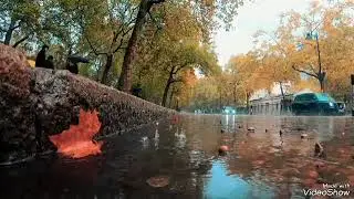 Эдгар Туниянц  Заплаканная осень...Autumn in tears.