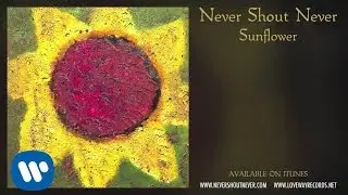 Never Shout Never - "Old Timer"