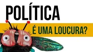 Por que a gente se odeia? | Polarização Política