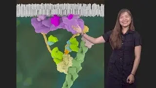 Visual Communication in Biology 3: Animating Molecular Biology, Part II - Janet Iwasa (U. Utah)