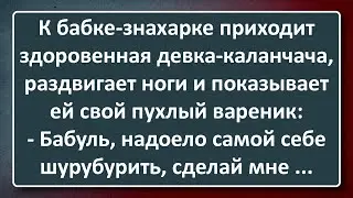 Мощная Девка у Бабки-знахарки! Сборник Изумрудных Анекдотов №1