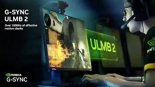 NVIDIA G-SYNC ULMB 2 | Over 1000 Hz Of Effective Motion Clarity For Competitive Gamers