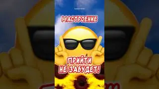 Хорошего Дня и Отличного Настроения👍 ￼#отличногодня