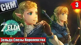 Legend of Zelda Tears of the Kingdom #3 — Земля Науки и Холода {Switch} прохождение часть 3