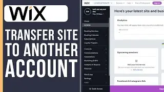 How to Transfer Wix Site to Another Account (2024)