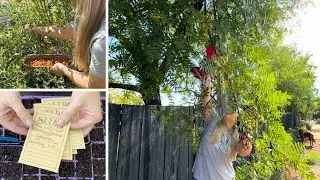 Spend the Day in the Garden with Me! 🌳 Pruning, Harvesting & Seed Sowing