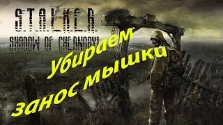 Убираем занос мышки в STALKER Тень Чернобыля