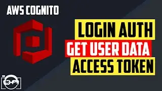 Amazon Cognito with Python - Login auth and get user data back based on cognito accessToken