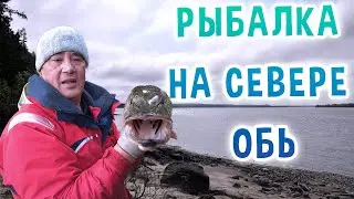 Рыбалка на севере. Обь.