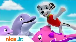 Щенячий патруль | Спасение дельфиненка | Nick Jr. Россия