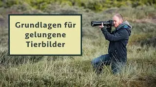 Tiere richtig fotografieren: 5 essentielle Tipps - egal, welche Kamera und welches Objektiv!