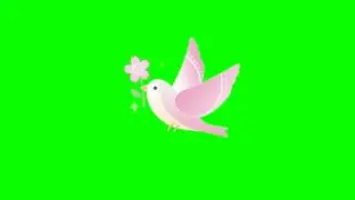 Cartoon Bird Flying Animation Green Screen || Chroma Key Effects HD No copyright