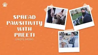 Spread Pawsitivity | An Inspiring story of Preeti | Save animals | DearPet