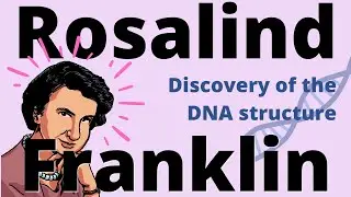 The Story of ROSALIND FRANKLIN - How She Discovered the Structure of DNA