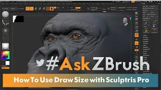 #AskZBrush - Is There a Way to Make Sculptris Pro Tessimation Not Linked to the Brush Size?