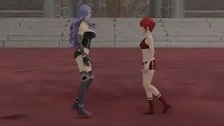 Hoshido vs Nohr shrinking showdown armorbreak edition