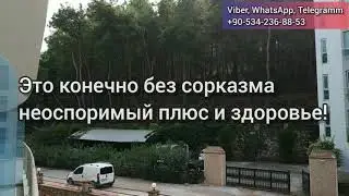 Самый ДОРОГОЙ ВИД, трехкомнатная КВАРТИРА в ТУРЦИИ на берегу моря в СОСНОВОМ лесу/ Дом за бугром