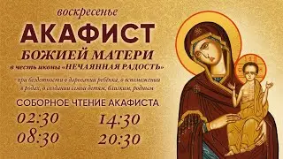 Акафист Божией Матери в честь иконы Её Нечаянная Радость. О. Владимир Головин.