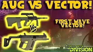 AUG vs VECTOR (The Division) Gun Comparison!