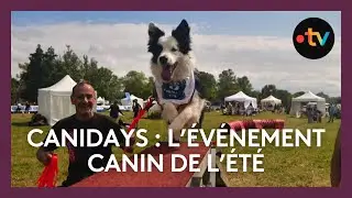 Canidays : l'événement canin de l'été