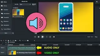 How to Export Audio Only from Video in Camtasia