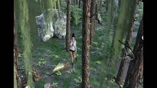 Swamp Animation Test 1