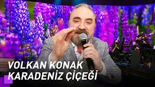 Volkan Konak - Karadeniz Çiçeği | Kuzeyin Oğlu Volkan Konak 2. Bölüm