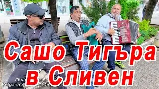 🇧🇬 Сашо Тигъра и неговата група. Политика и музика! 