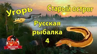 Russian fishing 4 Старый острог Угорь Русская рыбалка 4