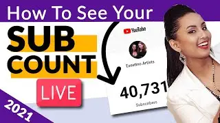 How to Check Your Youtube Live Subscriber Count 2021 | Youtube Tips