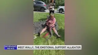 WallyGator!