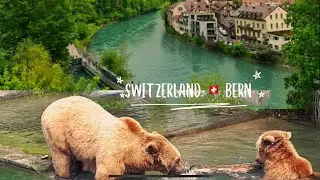 Switzerland 🇨🇭River Aare / Bärenpark Bern / The Bears /  Riding a motorcycle / May 2022