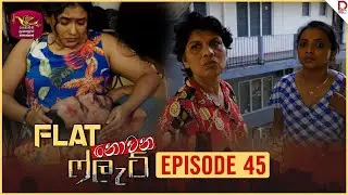 Flat නොවන ෆ්ලැට් | Episode 45 - (2024-10-24) | Rupavahini TeleDrama