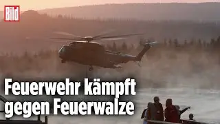 Brocken: Kampf gegen Waldbrand im Harz geht weiter