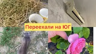 Купили дом🏠2️⃣4️⃣4️⃣Ждём друзей✅Установили САМИ кондиционер✅Сбор СЕМЯН✅Я швея😅Жара на ЮГЕ✅