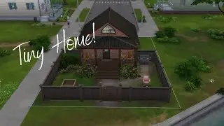 Tiny Home Speed Build!