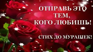 КАК МНОГО МЫ ТЕРЯЕМ В ЖИЗНИ!💗💗💗 Для всех кого мы любим! Хорошее пожелание на весь день! 💗💗💗