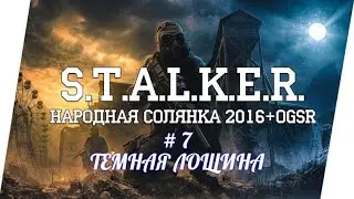 STALKER НС 2016 ,ТЕМНАЯ ЛОЩИНА, КЕЙС ДЛЯ БРОМА, ФАМИЛЬНОЕ РУЖЬЕ,