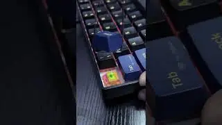 UNBOX + sound test Newmen GM610 PRO - 60% mechanical keyboard