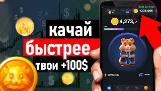 💸 Следующий airdrop Hamster Kombat Bot - Как вывести деньги из хамстер комбат обзор