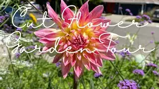 Zone 9 Cut Flower Garden Tour - Cool Flower Method