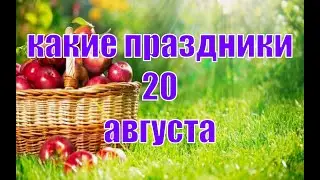 какой сегодня праздник? \ 20 августа \ праздник каждый день \ праздник к нам приходит \ есть повод