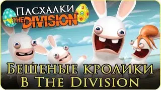 Пасхалки The Division: Бешеные кролики (Raving Rabbids) easter egg