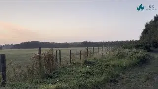 Sunset stroll between fields