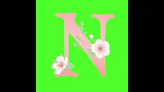 Alphabet N, N, ABCD, Green Screen Free Video, Green Screen, Chroma Key Background #greenscreen